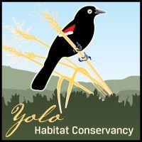 yolo habitat conservancy logo image