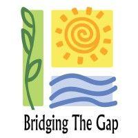 bridging the gap logo image