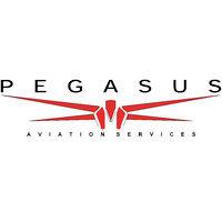 pegasus aviation services logo image