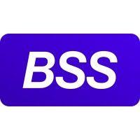 banks soft systems (bss) logo image