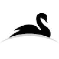 black swan financial planning logo image