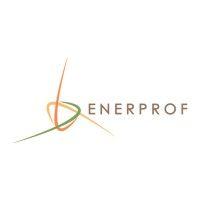 enerprof pte ltd logo image