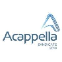 acappella syndicate 2014 logo image