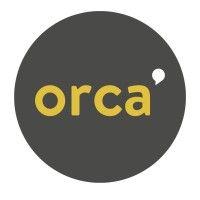 orca logo image