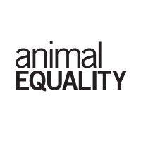 animal equality logo image