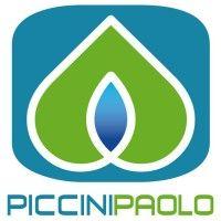 piccini paolo s.p.a. logo image