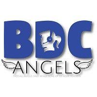 bdc angels llc logo image