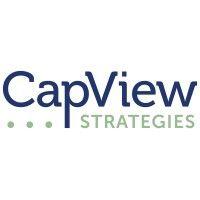 capview strategies logo image