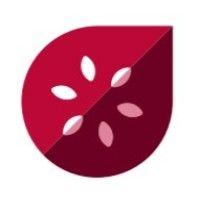 redfig logo image