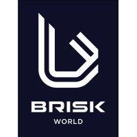 brisk world international logo image