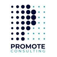 promote consulting