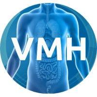 virtual metabolic human logo image