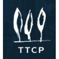 tt capital partners logo image