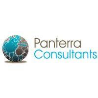 panterra consultants