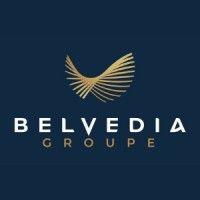 groupe belvedia logo image