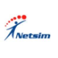 netsim logo image