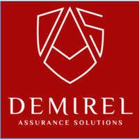 demirel assurance solutions gmbh wpg logo image