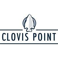 clovis point capital logo image