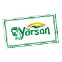 yörsan logo image