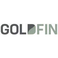 goldfin consulting inc. logo image