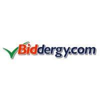 biddergy.com logo image