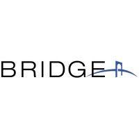 bridge industries logo image