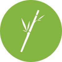 bamboo green logo image