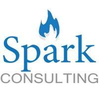 spark business consulting logo image