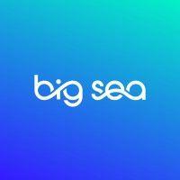 big sea logo image