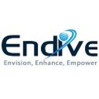 endive software private limited logo image