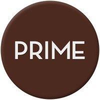 primeconcept logo image