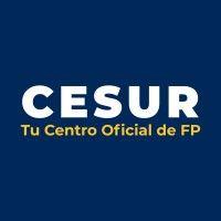 cesur logo image