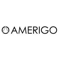 amerigo services logo image