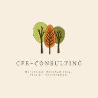 cfe-consulting logo image