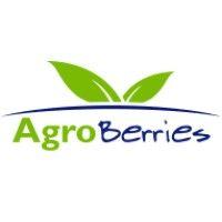 agroberries logo image