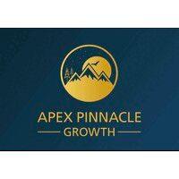 apex pinnacle growth logo image