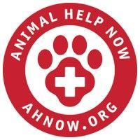 animal help now logo image