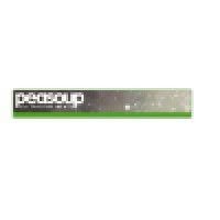 peasoup magazine logo image