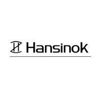 beijing hansinok co., ltd logo image