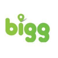 bigg group ltd logo image