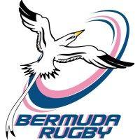 bermuda rugby football union logo image