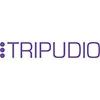 tripudio telecom logo image