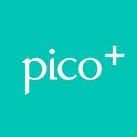 pico plus logo image