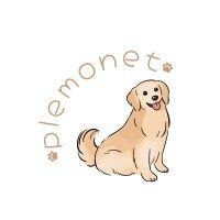 plemonet logo image