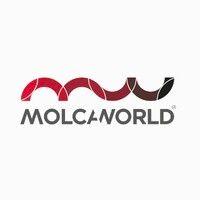 molcaworld logo image