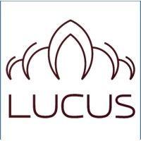 lucus advisors llc logo image