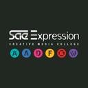 logo of Sae Expression College