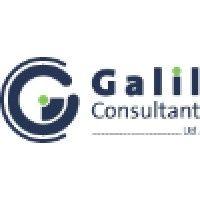 galil consultant ltd logo image