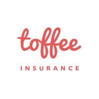 toffee insurance logo image