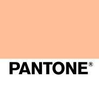 pantone logo image